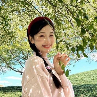 尼姆的实验封面